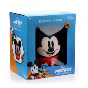 BITTYBIG-MICKEY-2